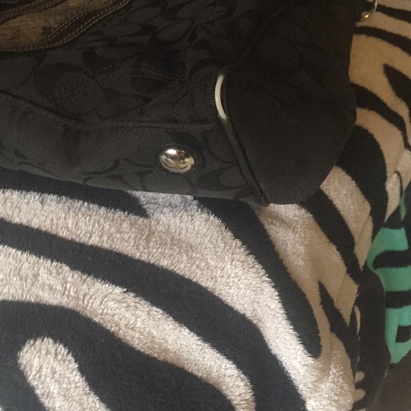 Coach - Picture 6 of 6